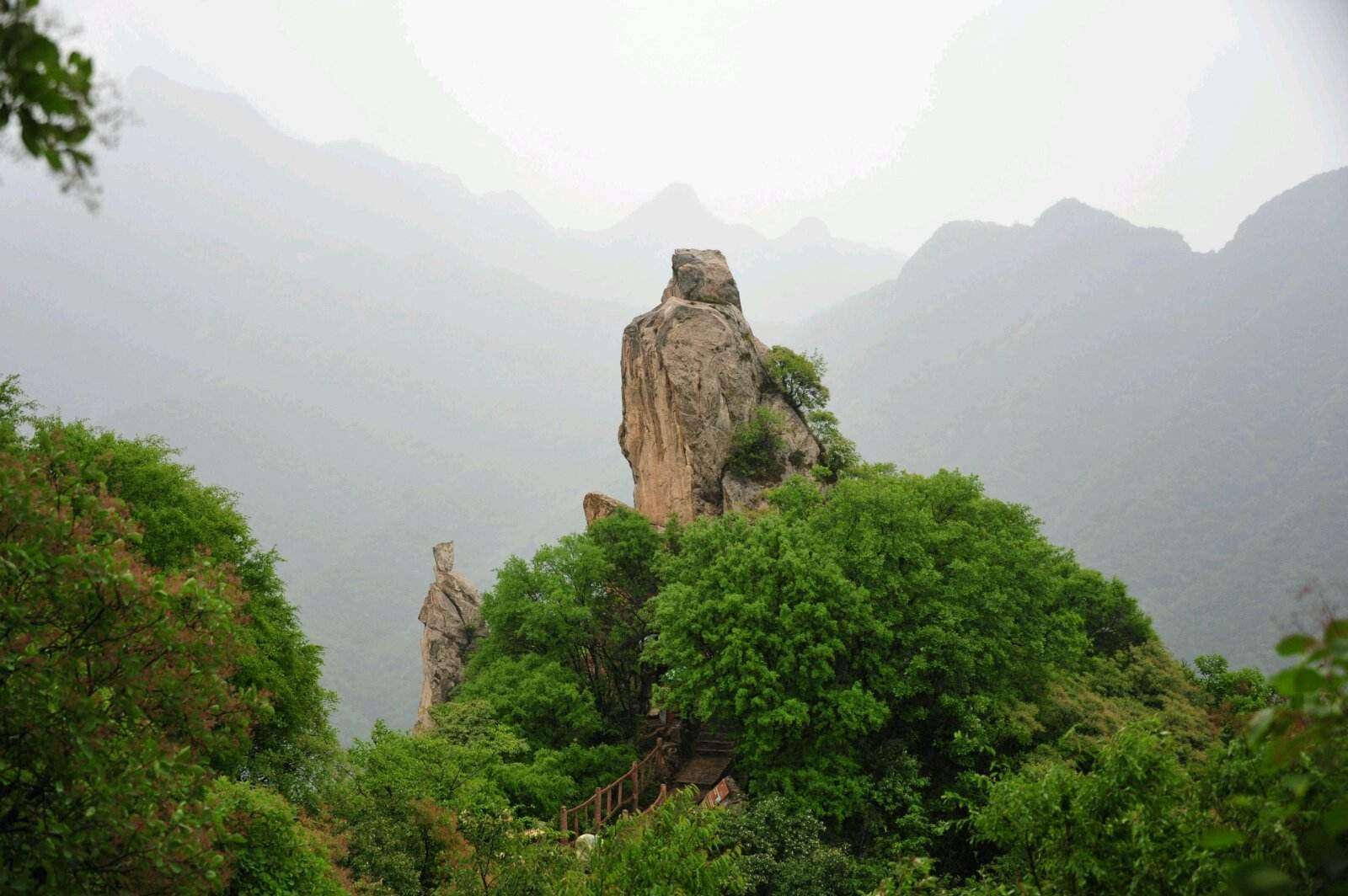 王维终南山游记,海南南山游记散文作文