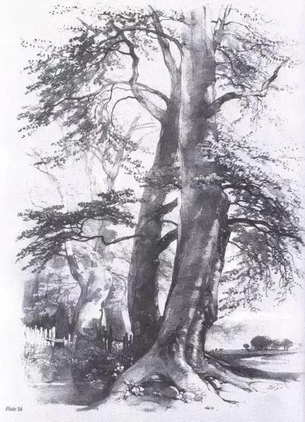 中学生20分钟风景速写临摹图片,速写风景怎么画得又快又好