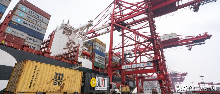 世界十大船公司排名图片,2022世界排名前三的船公司