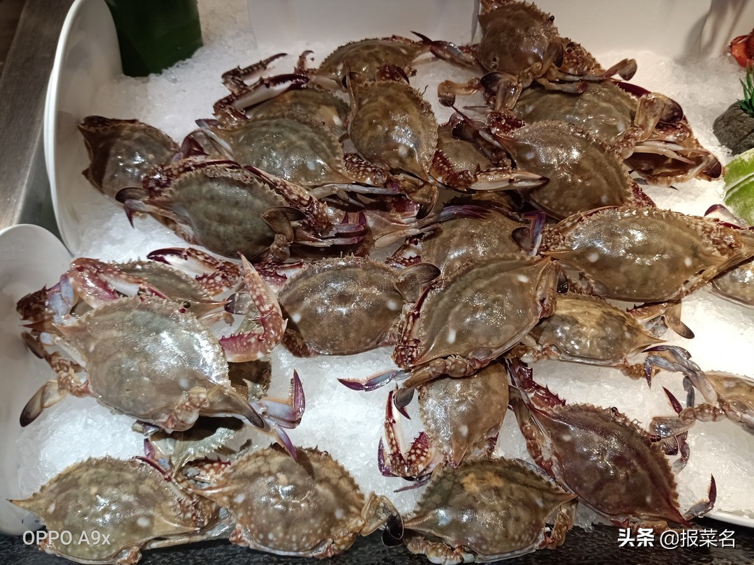 螃蟹虾扇贝,海鲜自助螃蟹和大扇贝