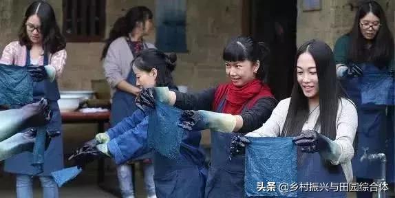 农学院对乡村振兴的促进作用,半农学院