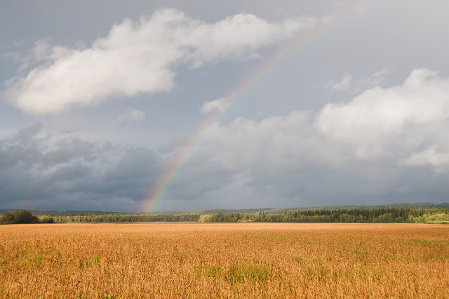 温顺的濬,一辈子只知附和,不懂得争取,搞的自己的生活一团糟