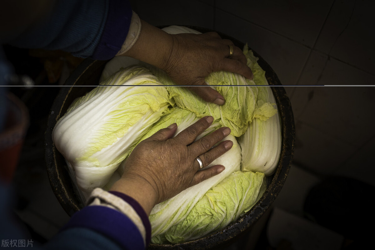 不放盐腌酸菜不烂的诀窍,不管腌什么酸菜牢记这4点