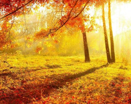 千万不要对这三个星座耍心机,脾气虽好但最难对付的三大星座