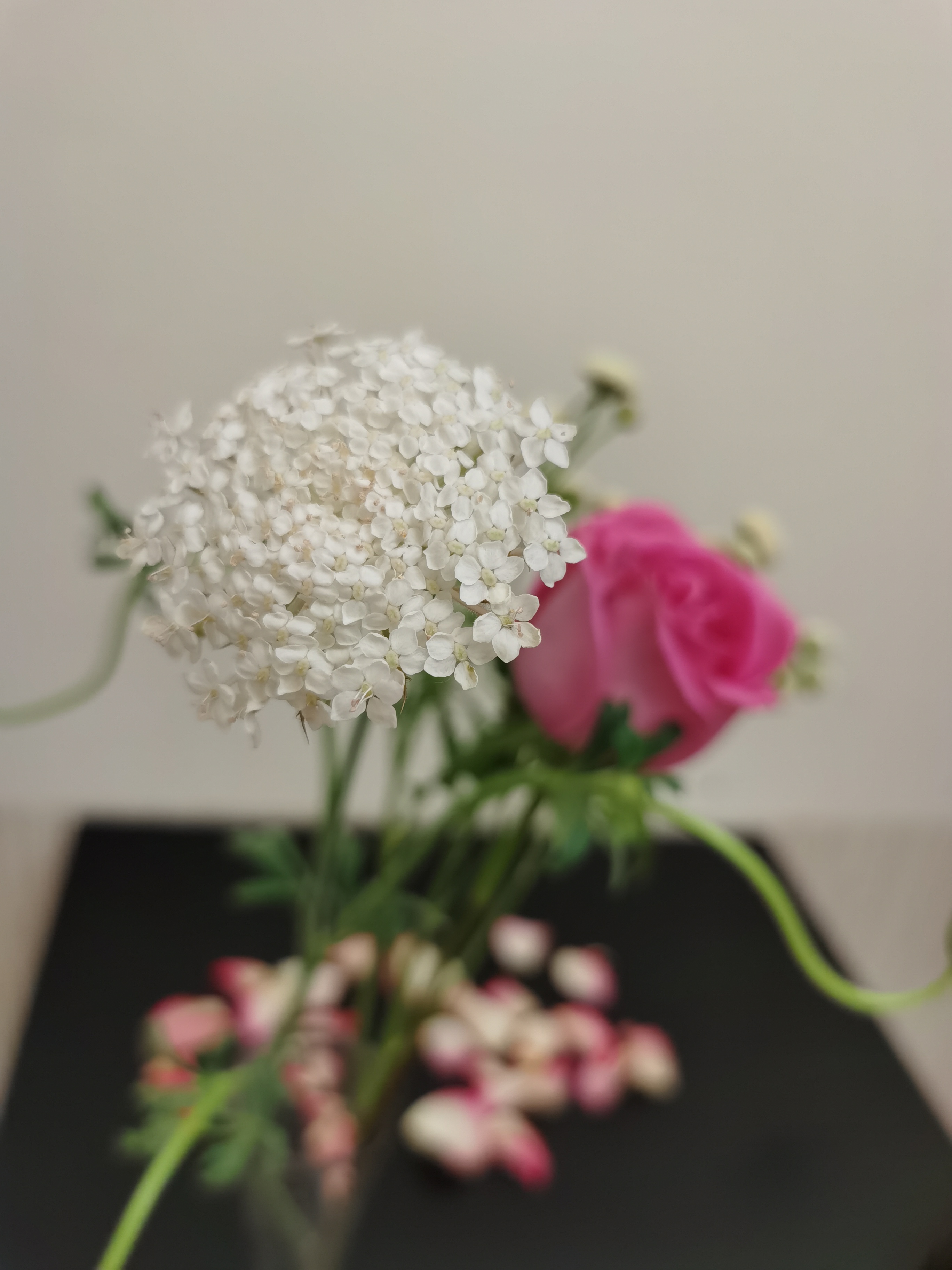 孕妇贫血看哪个项目,孕妇贫血食补