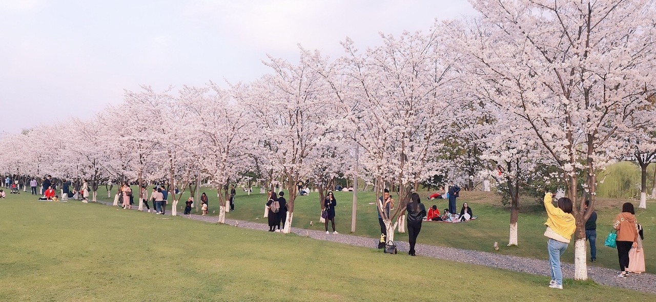 这是高晓松送给杭州的礼物，实名羡慕杭州市民!