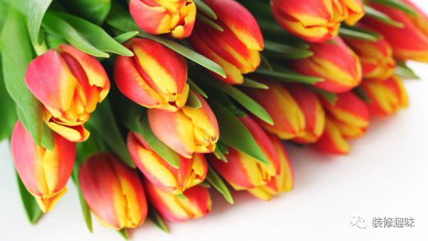 打鸡血的励志名言短句,比较鸡血的励志语录短句