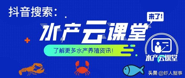 水草挂脏产生的原因及处理方法,如何快速解决水草挂脏