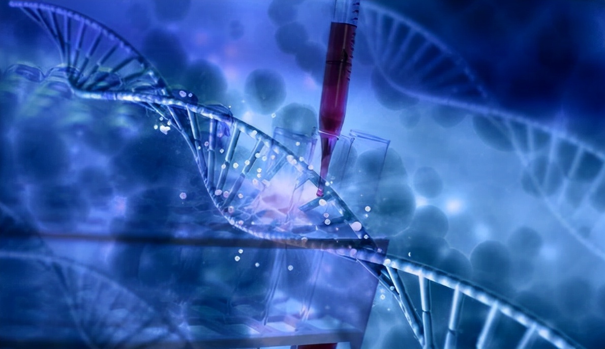 血小板增高症jak2突变比值怎么看,血小板增多症jak2基因突变