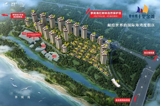 生蚝之乡广东阳江,生蚝之乡鲜蚝