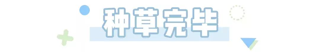 超显白夏天口红平价,夏季口红绝美色号