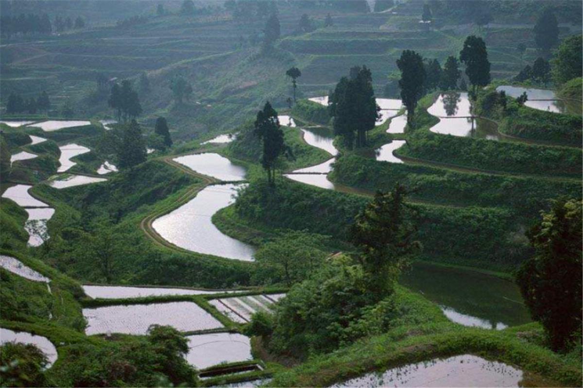 早上不讲梦有什么讲究,晚不梳头早不说梦是怎么回事