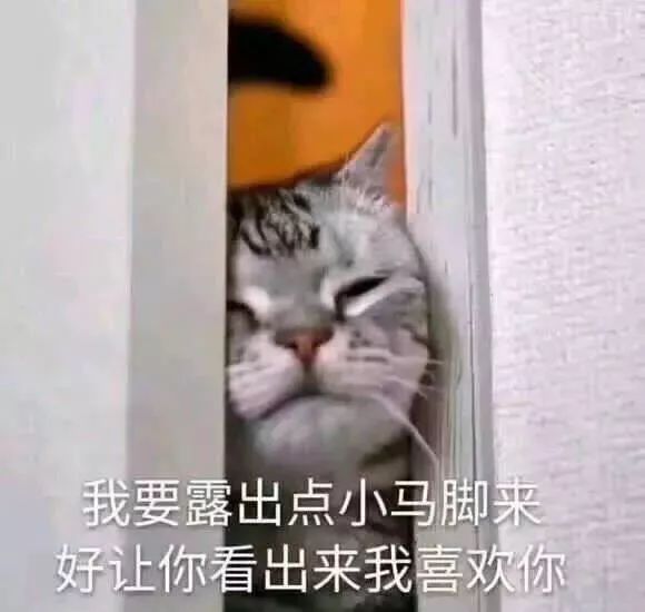 如何判断猫是饿还是饱,怎么判断猫对你有感情