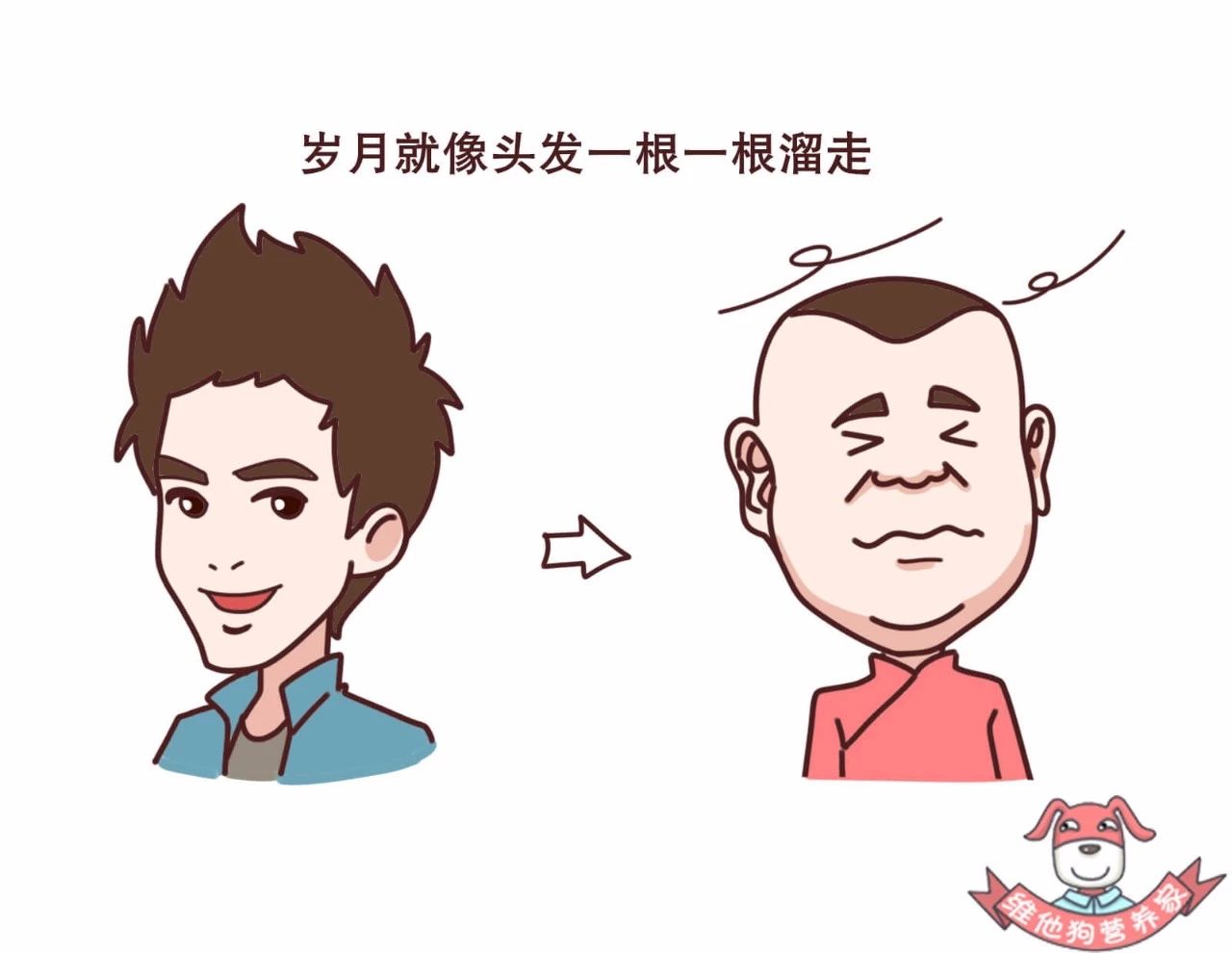 史上最强防脱发指南,脱发严重这个防脱发妙招很好用