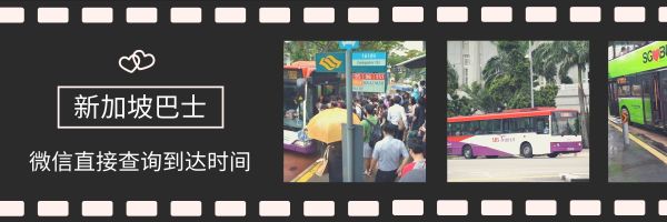 新加坡樟宜椰子,新加坡樟宜机场阿迪达斯