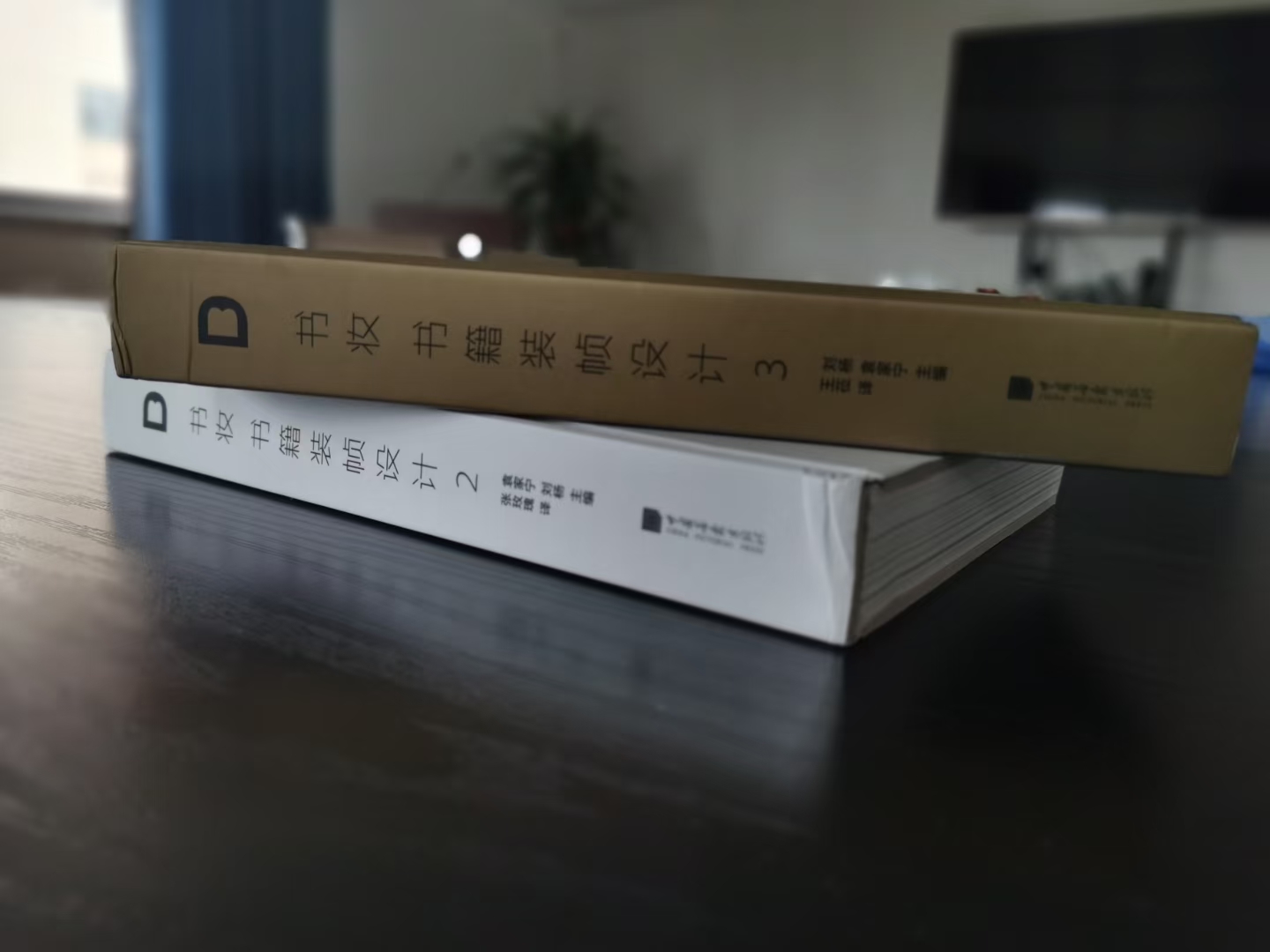 优秀书籍装帧设计作品及文字说明,艺术书籍装帧设计作品