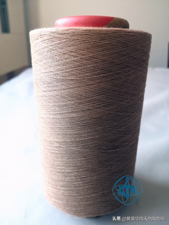 植物染色染黑步骤,植物染色过程