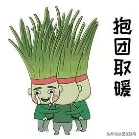 韭菜是否能补肾,韭菜能补肾