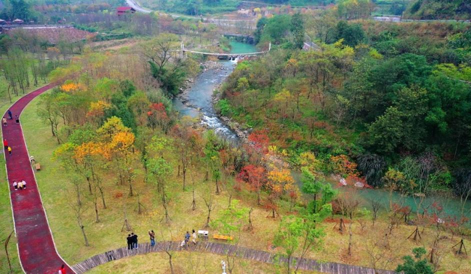 重庆轮滑基地最新消息,重庆万盛轮滑基地