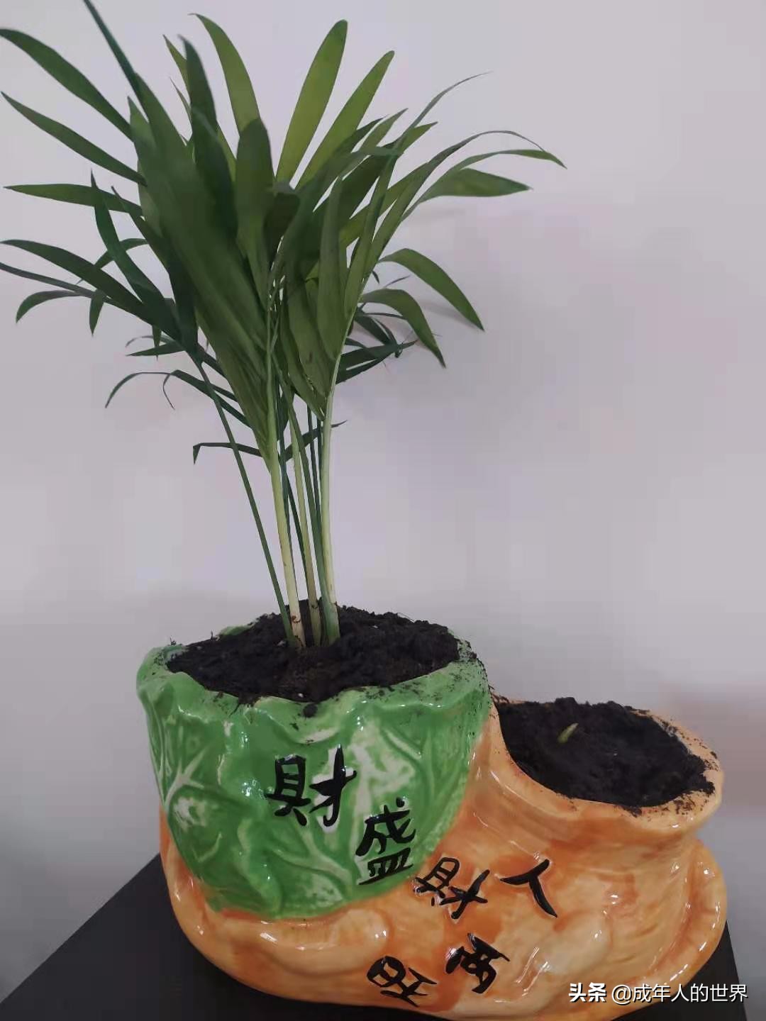 做电商欠债400万无路能走吗,没有收入负债累累天天被催款