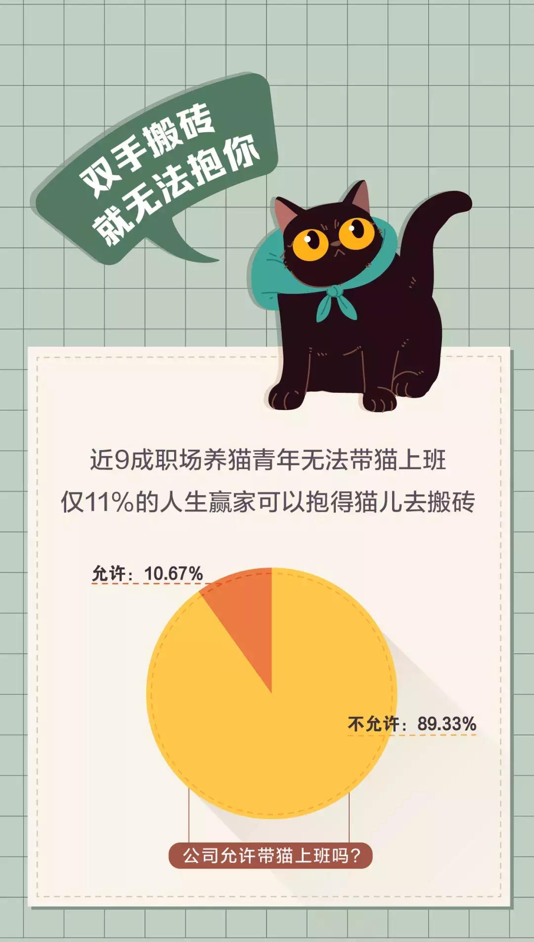 老板比猫还难搞定?最新职场青年吸猫不完全调查出炉