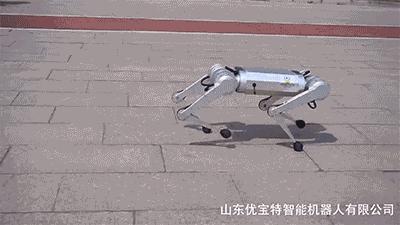 今年最火爆的智能机器狗,最新款智能机器狗推荐