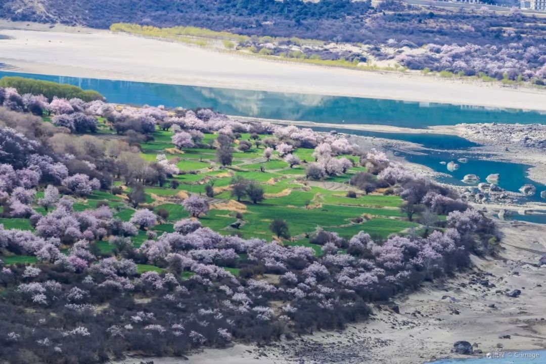 布达拉宫罗布林,布达拉宫罗布林门票