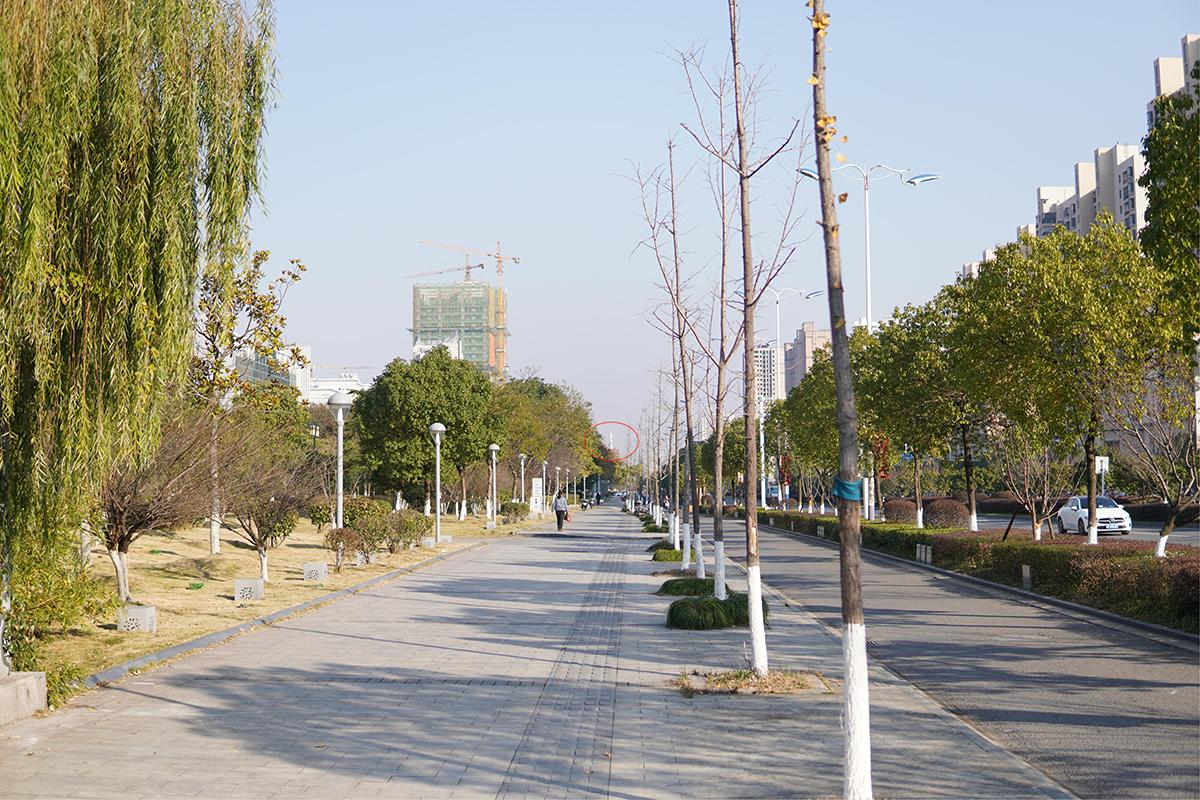 星特朗几何单筒望远镜可以看多远,星特朗几何单筒望远镜怎么样