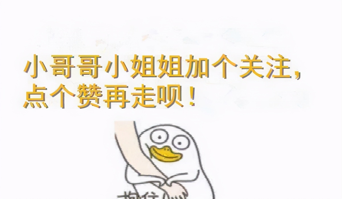 2023最受欢迎的猫咪排行,最热门的十大猫咪品种