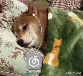 鍏ㄧ綉楠傛灄鏈夋湁,缃戝弸楠傛灄鏈夋湁