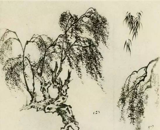 画树教程,怎么画树好看又超级简单