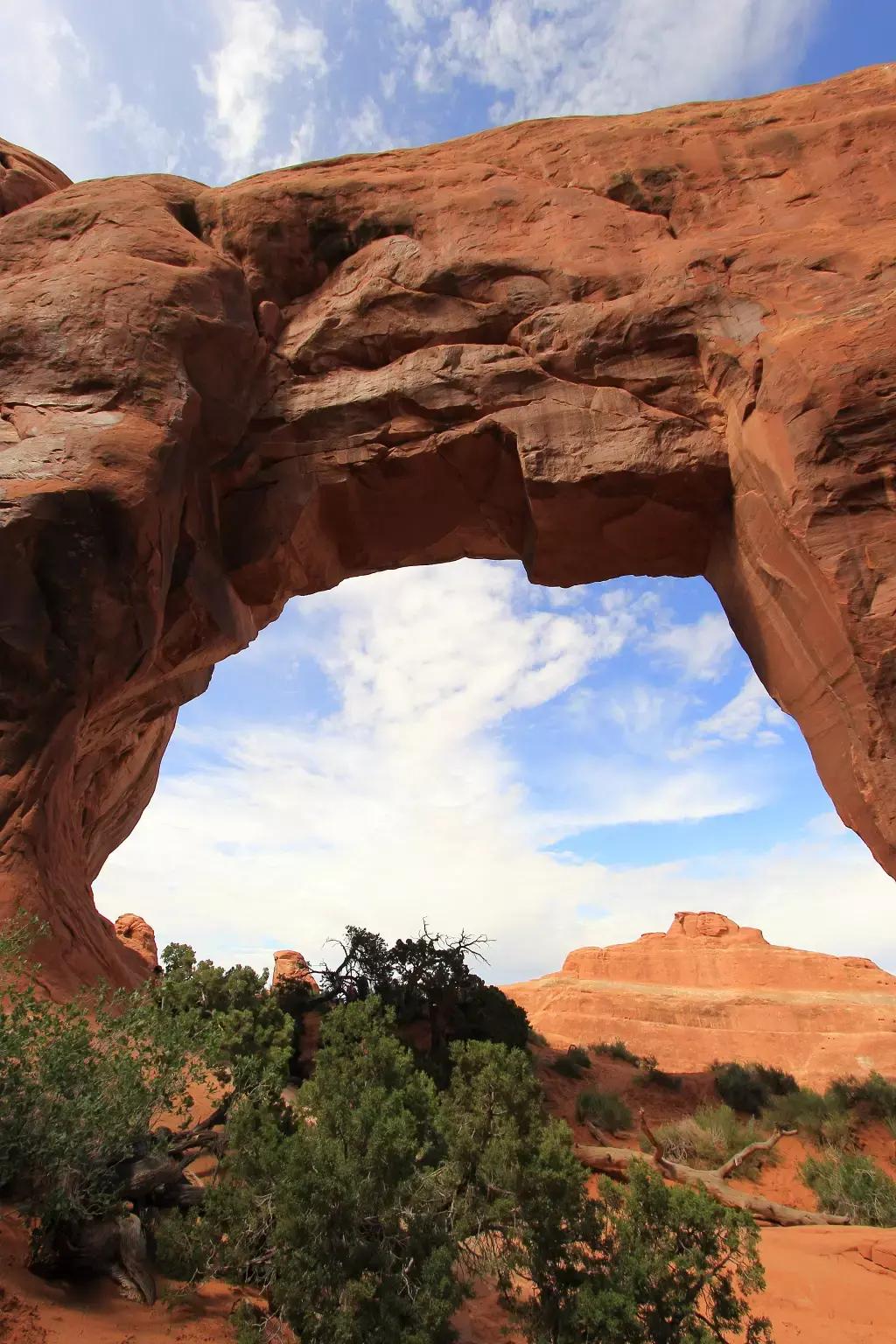 美国采用联邦制划分几个州,联邦制国家美国有几个州组成