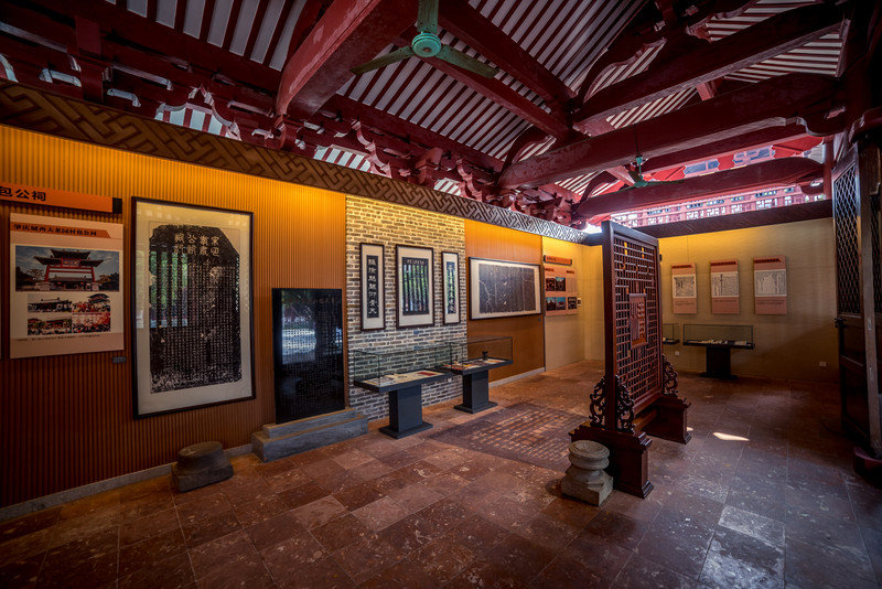 星湖冬日燃情，比落羽杉还要红的是什么？#我和湿地有个约会#