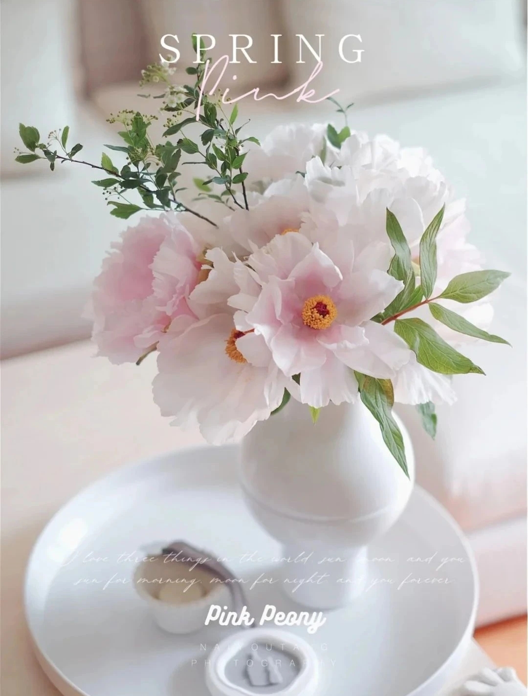 植库‖跟随仙气飘飘的油牡丹，追寻春天的步伐