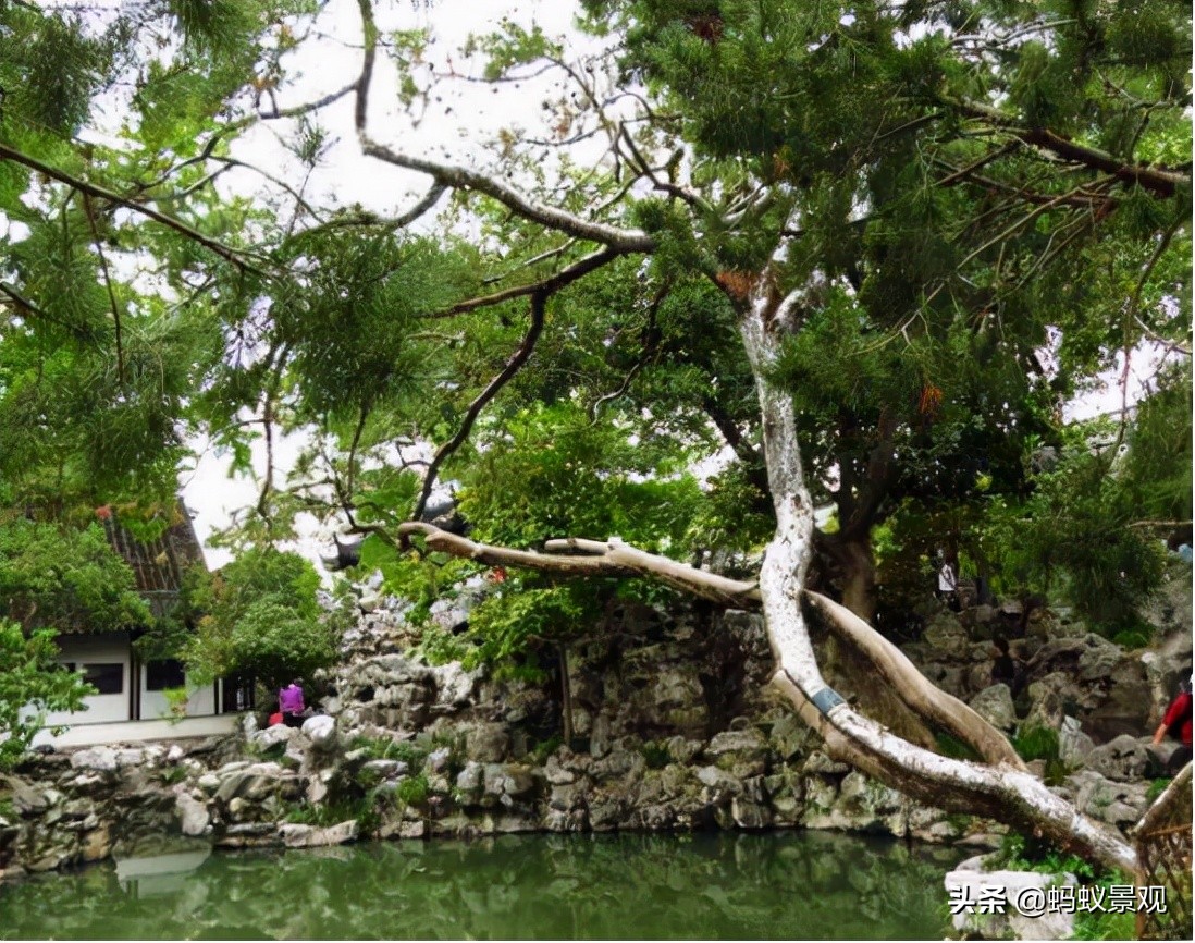 陈从周的园林作品有哪些,陈从周中国园林风格