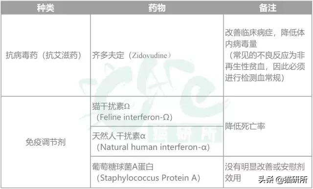 猫白血病病毒（FeLV）感染≠猫白血病≠安乐死