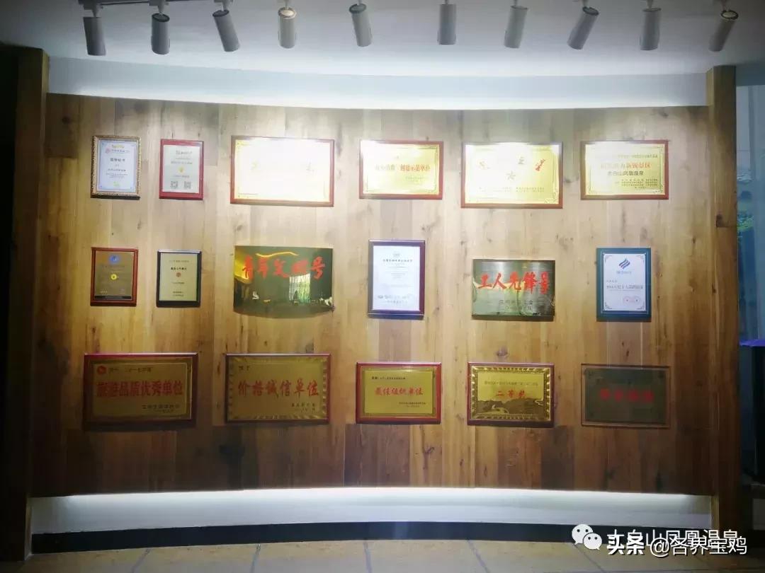 太白山凤凰温泉大巴,凤凰温泉旅游大巴