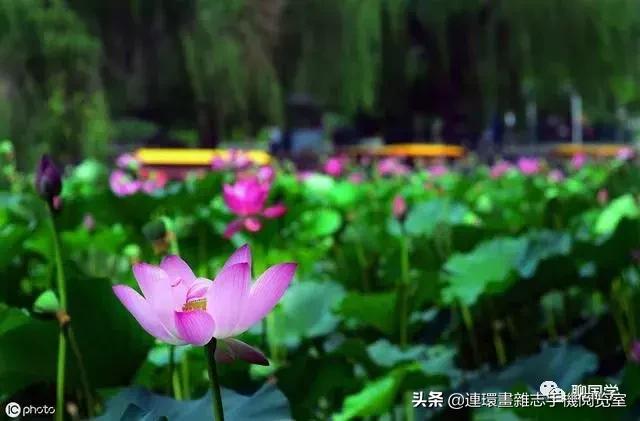 华清宫绝句杜牧,杜牧三十首绝句清丽绝俗