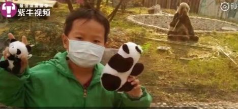 为救白血病儿子被判死刑,白血病儿童死刑