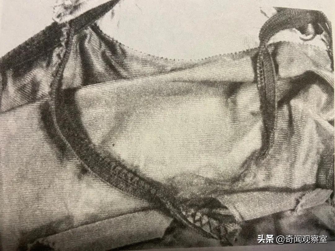 李昌钰十大经典案件破案,神探李昌钰破谢尔曼杀妻案