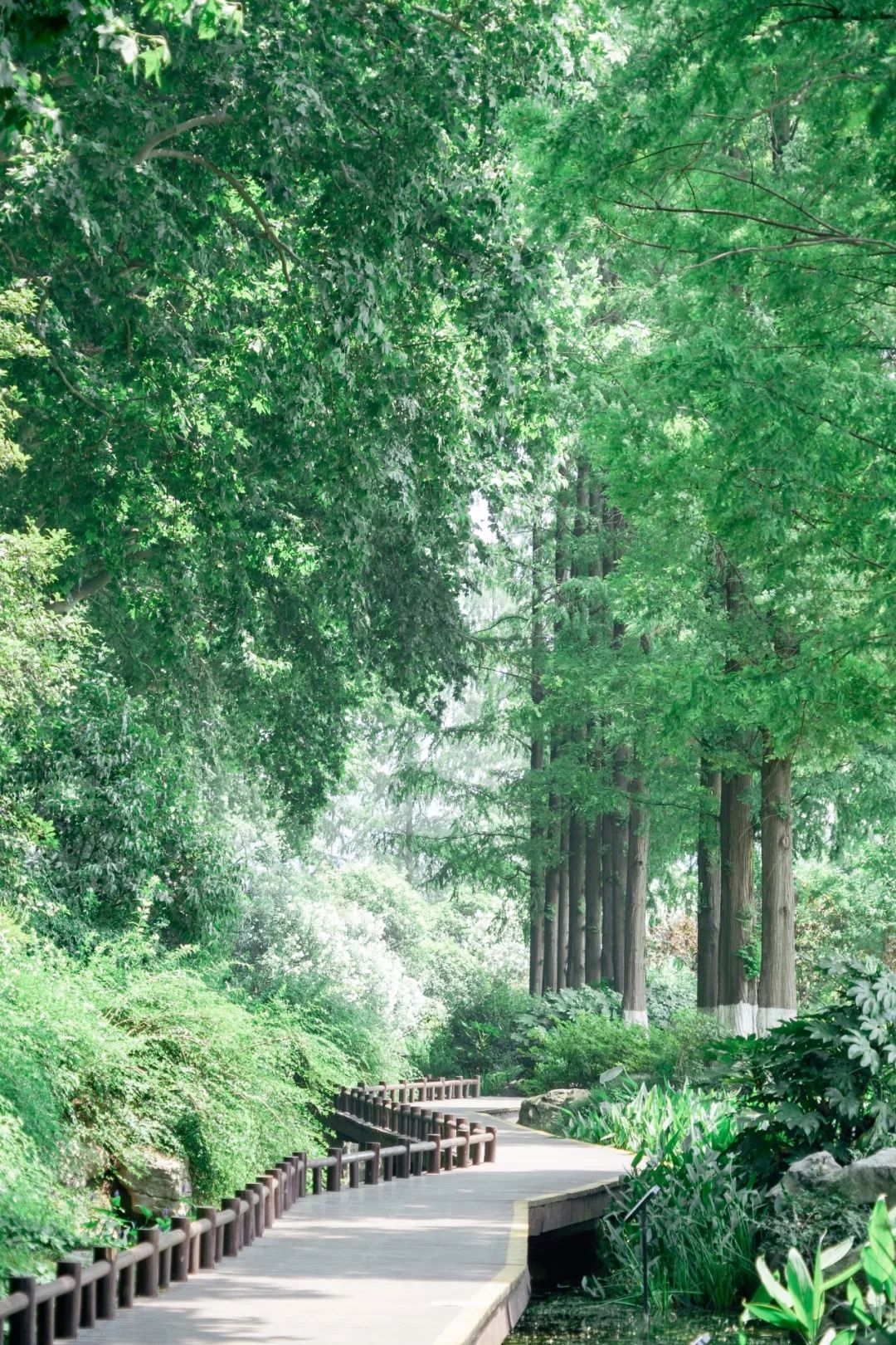 南京玄武湖边还有啥好玩的,玄武湖有什么好玩的