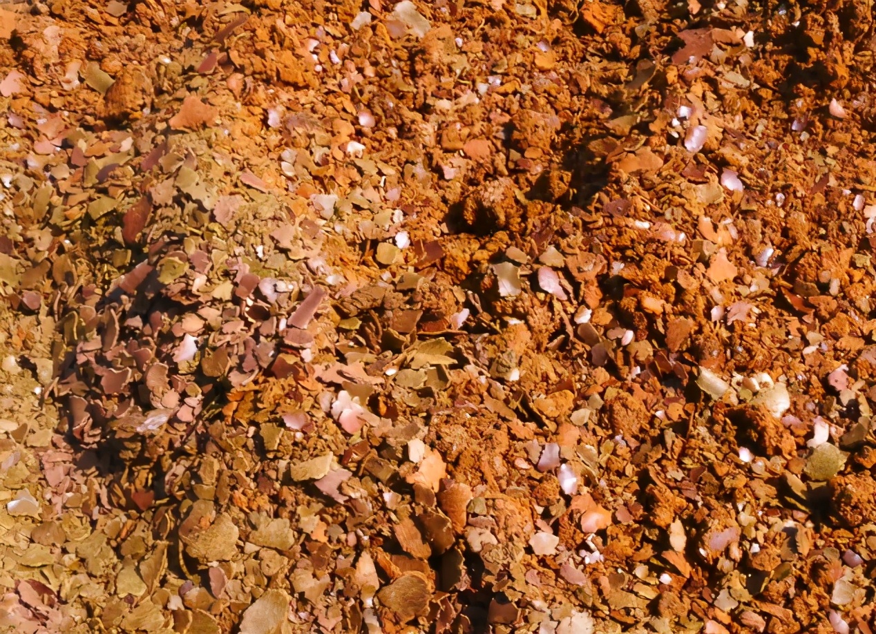 农家肥没少用，蔬菜产量还是低？农户的使用方法要正确