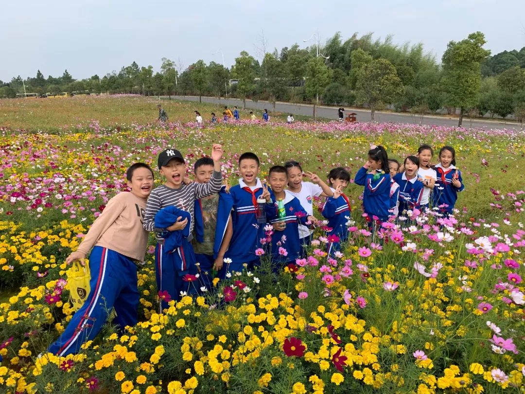 洋沙湖研学基地在哪里,洋沙湖岳阳研学