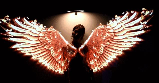 49元获得超能力？玩转魔法，探索恐龙，查究宇宙奥义！