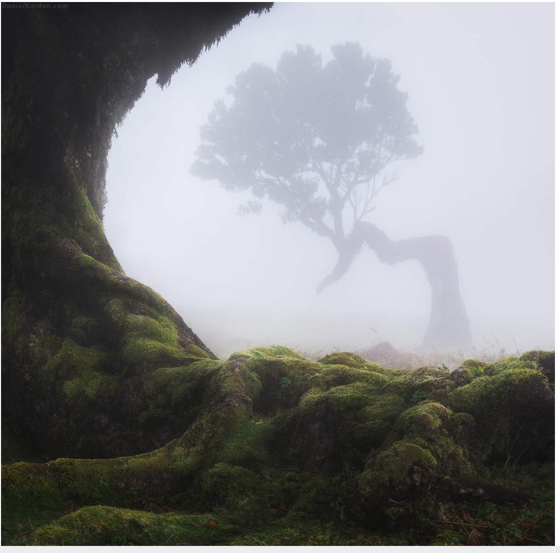 提高审美推荐十大自然风光摄影师,十大良心风光摄影师