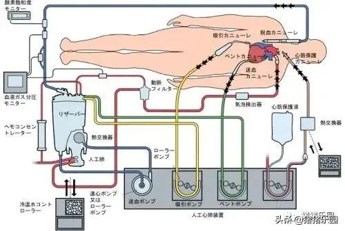 日本志村健去世,日本志村健葬礼完整版