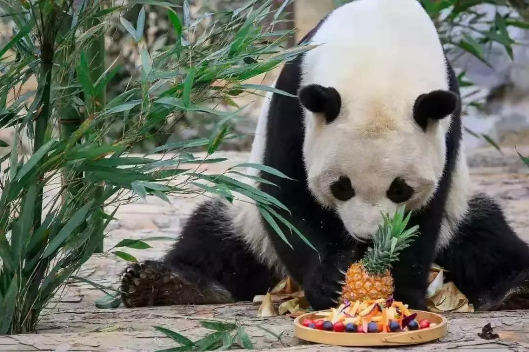 免费！半价！坐山东高铁环形列车，这些景区凭车票统统享优惠！