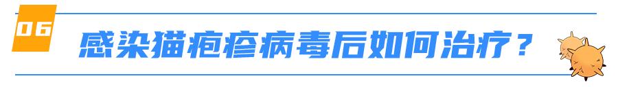 猫感染疱疹咳嗽,猫有眼屎打喷嚏怎么回事