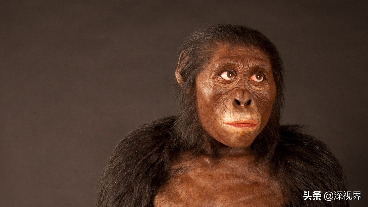 人类进化论为什么有20万年空白,人类进化史出现了20万年的断层