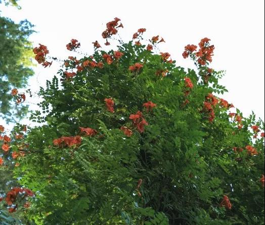 郑州被评为幸福城市有什么看法,2021郑州最具幸福感城市